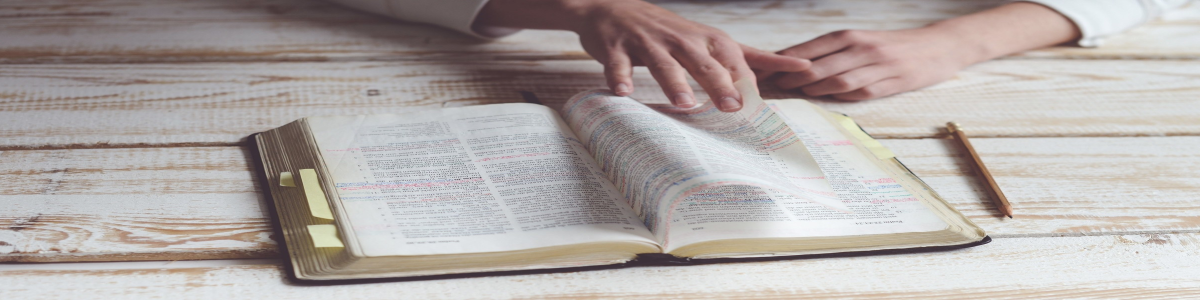 Renungan - Sapaan Gembala